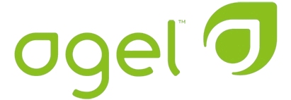 Agel Enterprises